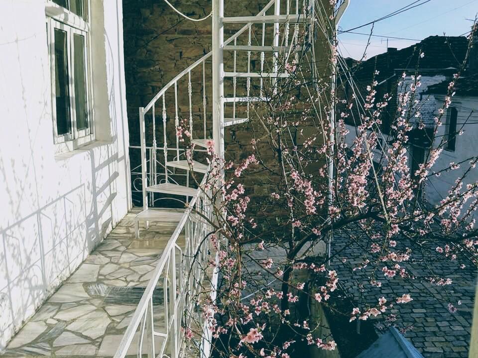 科尔察Cozy Loft公寓 外观 照片